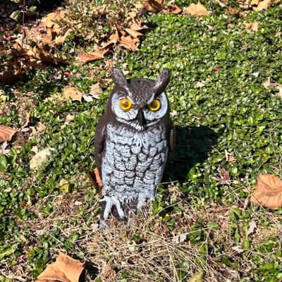 Sale Photo Thumbnail #68