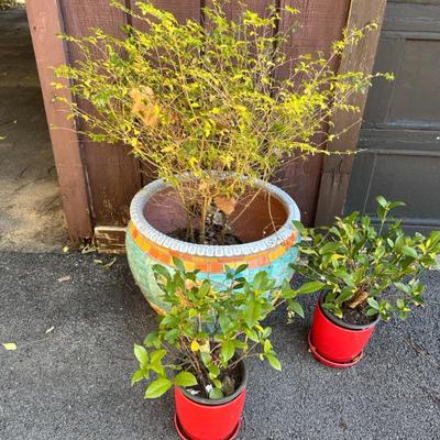 Sale Photo Thumbnail #22