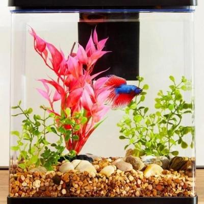 Sale Photo Thumbnail #185