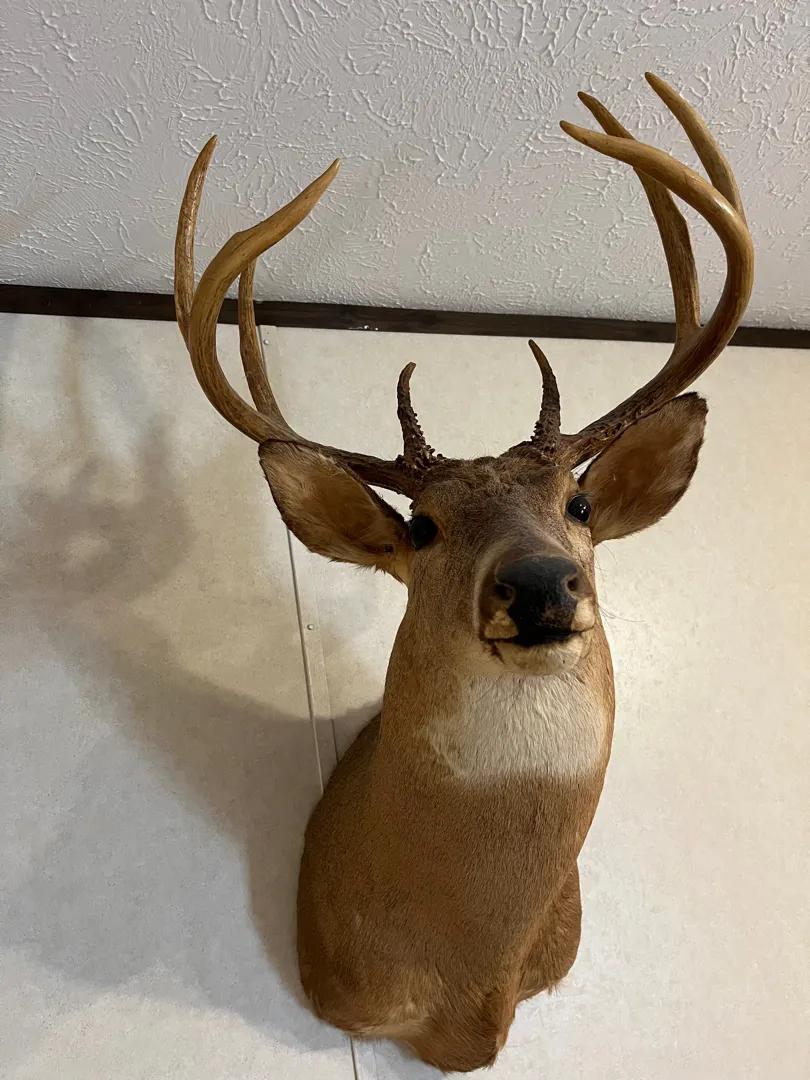 Sale Photo Thumbnail #29