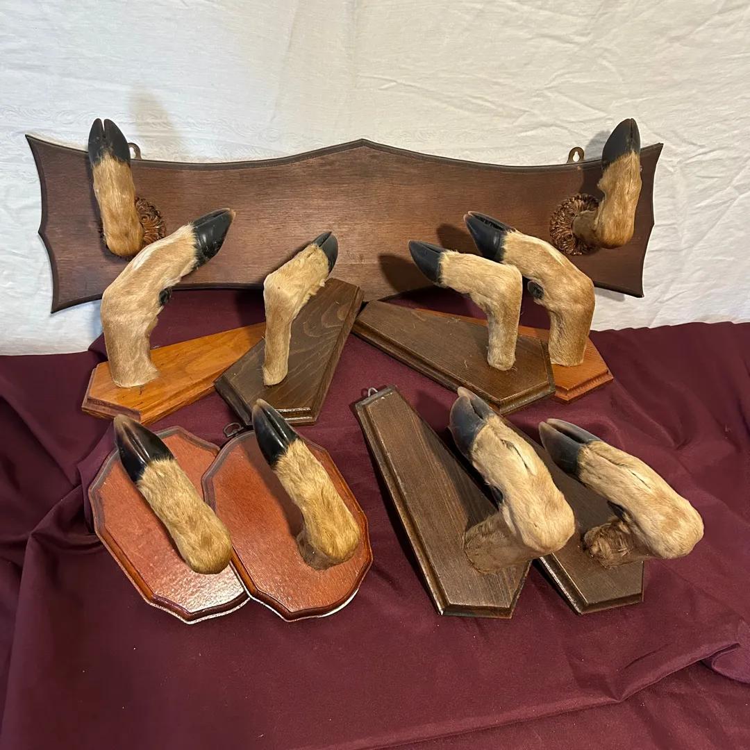 Sale Photo Thumbnail #36