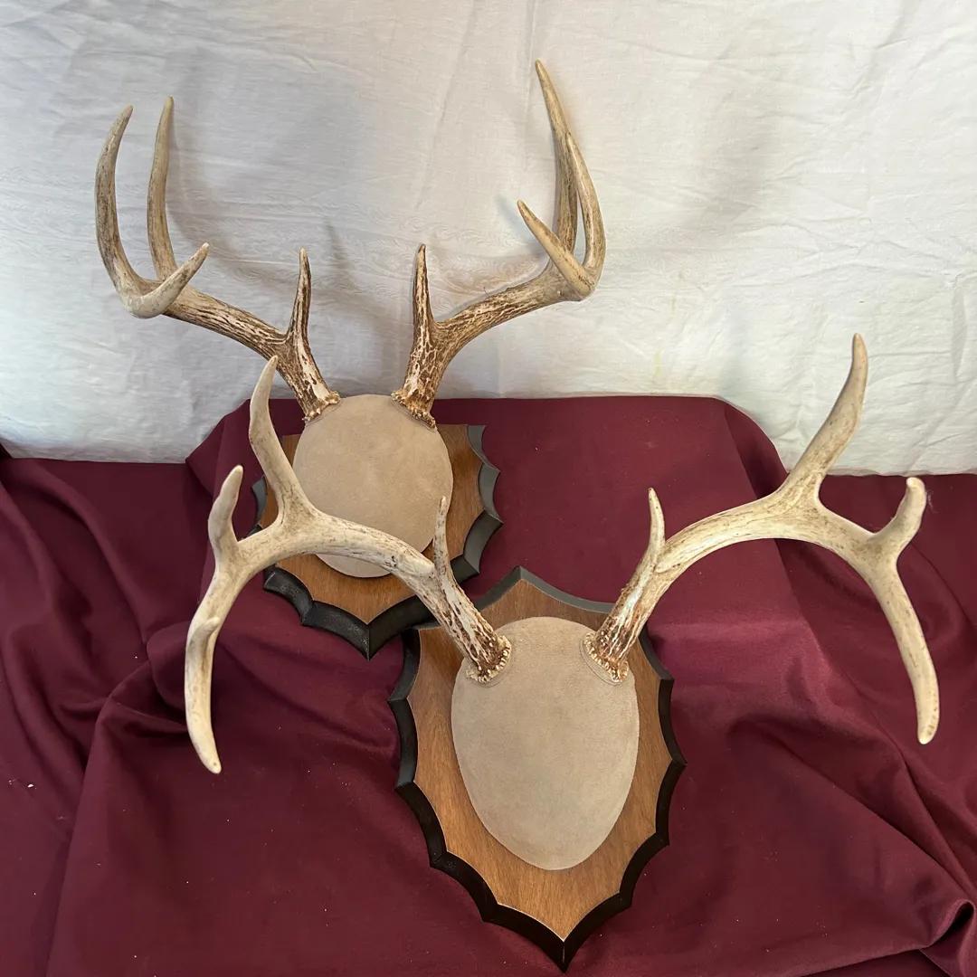 Sale Photo Thumbnail #34