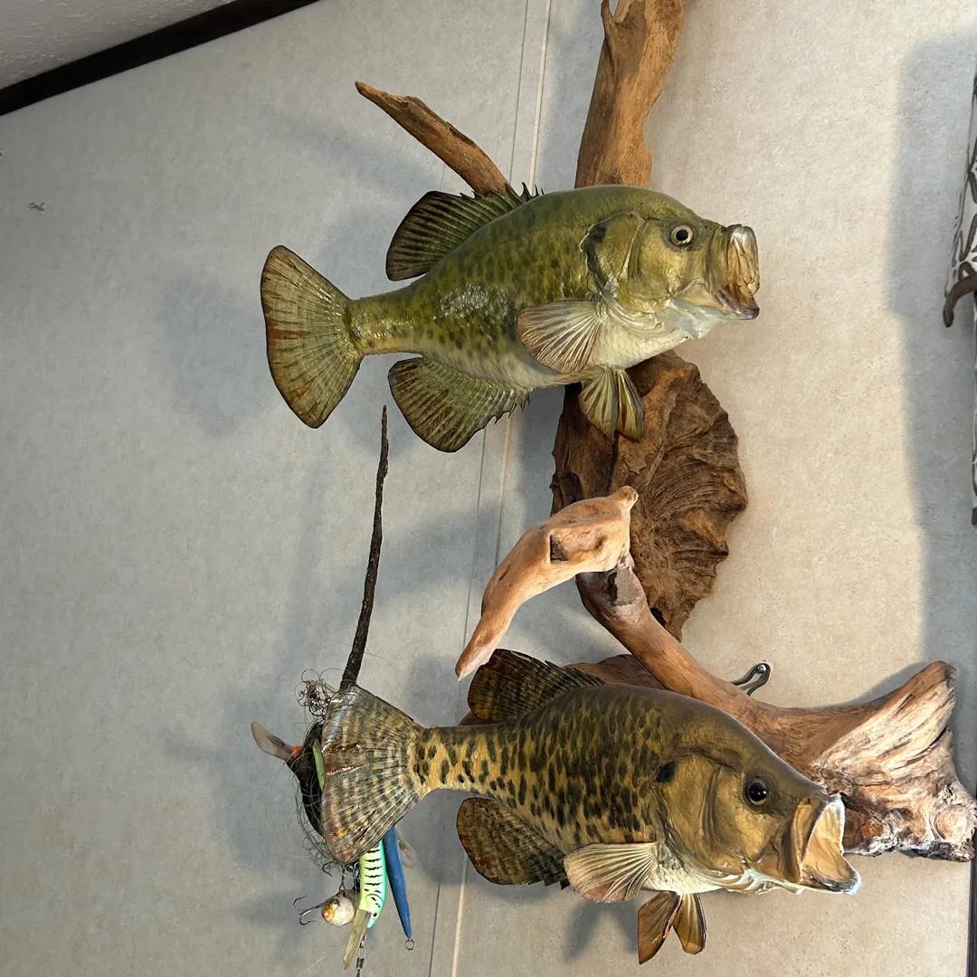 Sale Photo Thumbnail #22