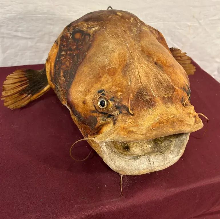 Sale Photo Thumbnail #56