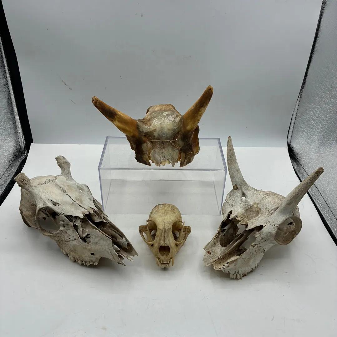 Sale Photo Thumbnail #59