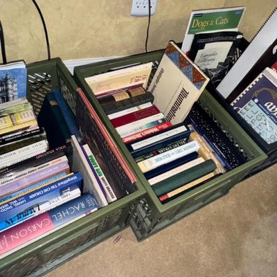 Sale Photo Thumbnail #304