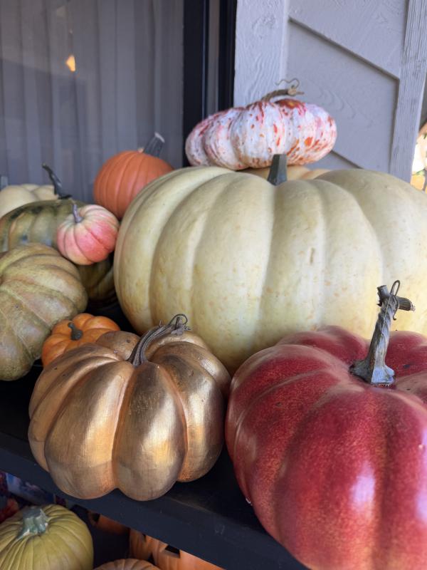 Sale Photo Thumbnail #392