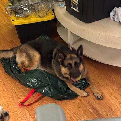 Sale Photo Thumbnail #253