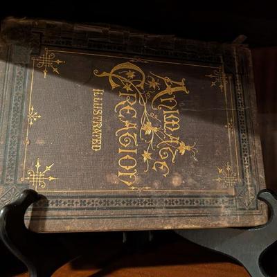 Sale Photo Thumbnail #81