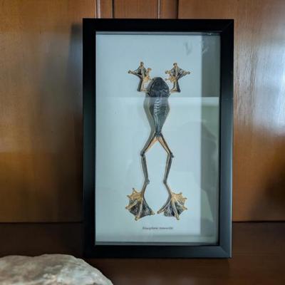 Sale Photo Thumbnail #133