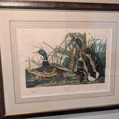 Sale Photo Thumbnail #152