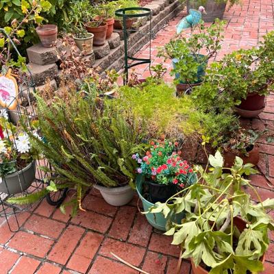 Sale Photo Thumbnail #3