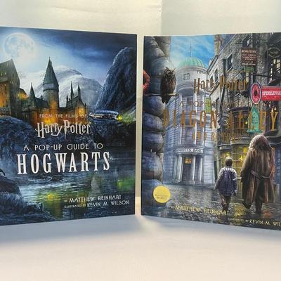 (2) Harry Potter Pop-Up Books — Hogwarts & Diagon Alley (Matthew Reinhart)