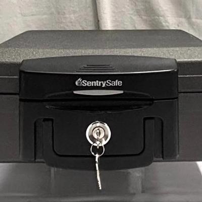 SentrySafe Fire-Resistant and Water-Resistant Security Chest