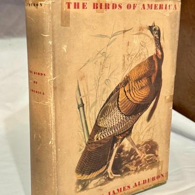 Sale Photo Thumbnail #17