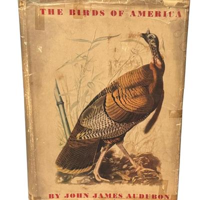 Sale Photo Thumbnail #70