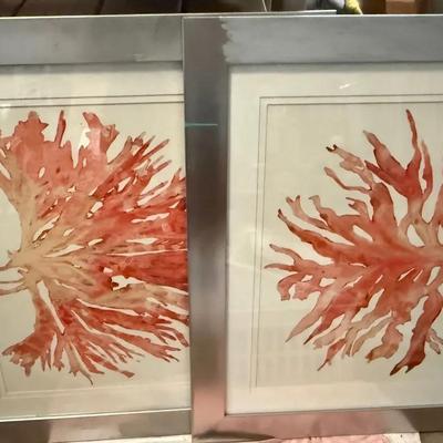 Set of 2 Framed Coral Prints – Coastal Wall Art