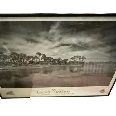  “Living Waters: Aquatic Preserves of Florida” Framed NOAA Poster