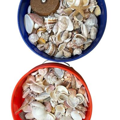 Two 5-Gallon Buckets of Mixed Florida Seashells – Crafting, Décor, Coastal Collecti