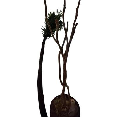 Pair of 8-Foot Decorative Trees – Lighted Palm Tree & Sculptural Branch Tree