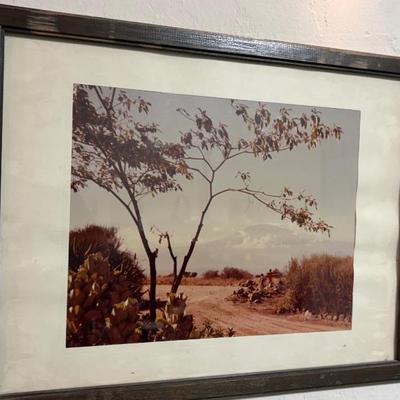 Sale Photo Thumbnail #351