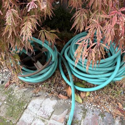 Sale Photo Thumbnail #498