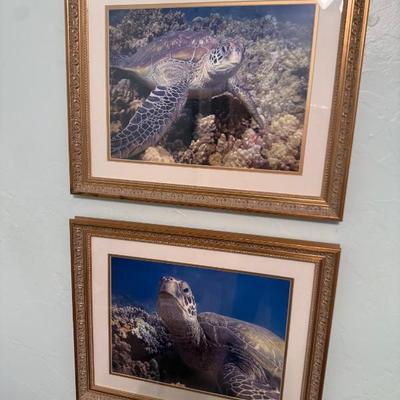 Sale Photo Thumbnail #98