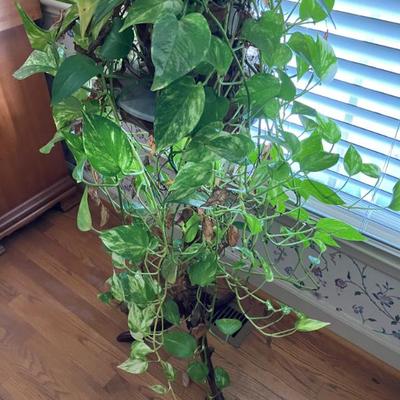 Sale Photo Thumbnail #5