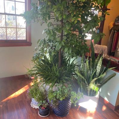 Estate Sales By Olga in Cranford, NJ