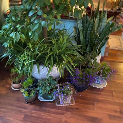 Sale Photo Thumbnail #60: Estate Sales By Olga in Cranford, NJ