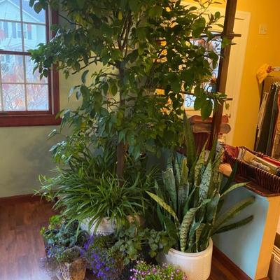 Sale Photo Thumbnail #25: Estate Sales By Olga in Cranford, NJ