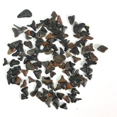 Sale Photo Thumbnail #8