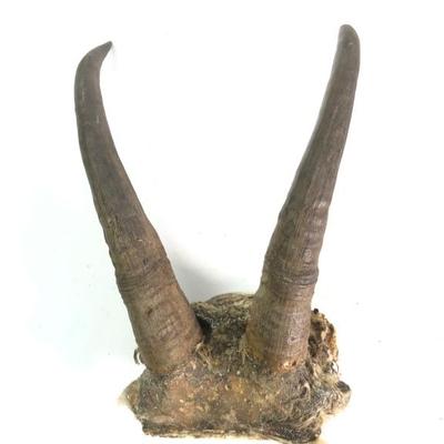 Sale Photo Thumbnail #216