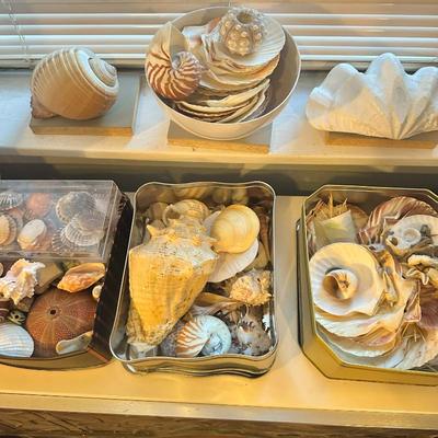 Sale Photo Thumbnail #87