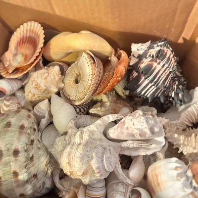 Sale Photo Thumbnail #81