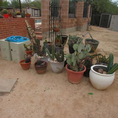 Sale Photo Thumbnail #284