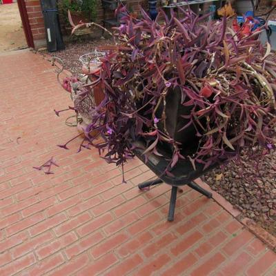 Sale Photo Thumbnail #249