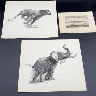 Animal Study Prints by D. Schwartz & Small Matthaus Merian Düsseldorf Print
