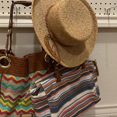 Fossil And Steve Madden Handbags And Hat