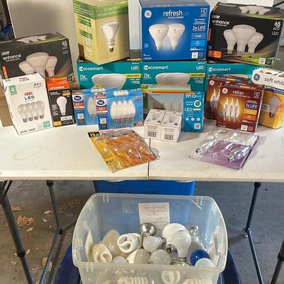 Collection Of Lightbulbs 