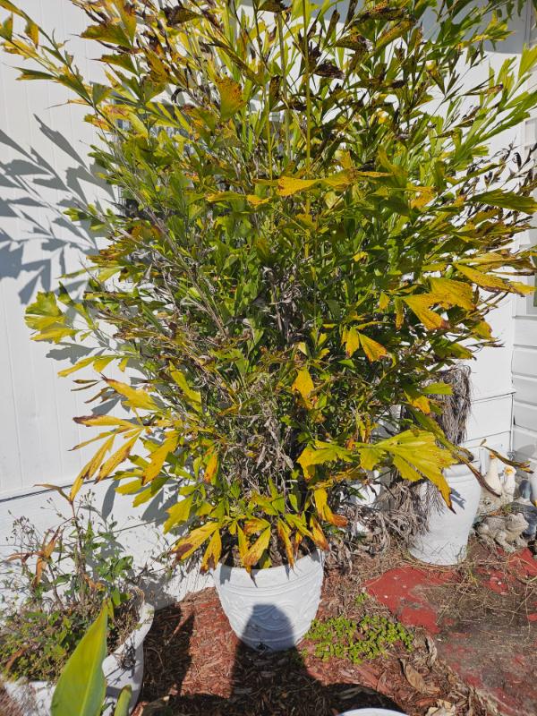 Sale Photo Thumbnail #158