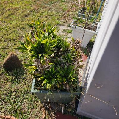 Sale Photo Thumbnail #154