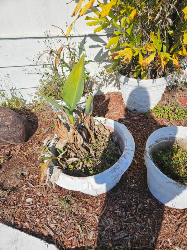 Sale Photo Thumbnail #157