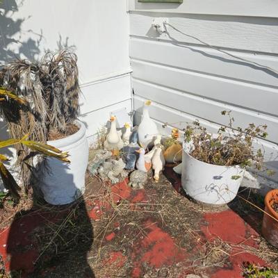 Sale Photo Thumbnail #156