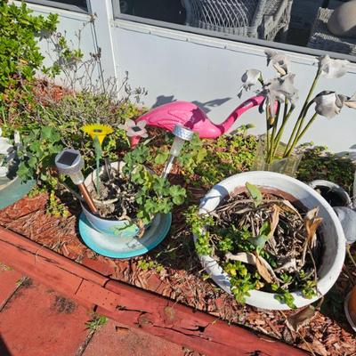 Sale Photo Thumbnail #153