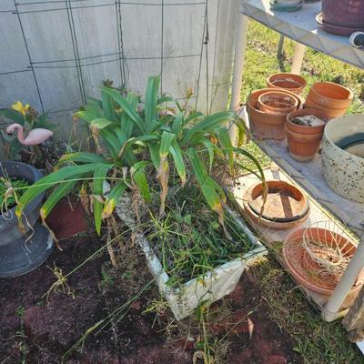 Sale Photo Thumbnail #148