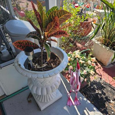 Sale Photo Thumbnail #116