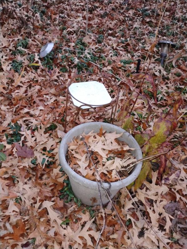 Sale Photo Thumbnail #4