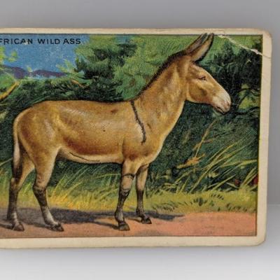 Sale Photo Thumbnail #455