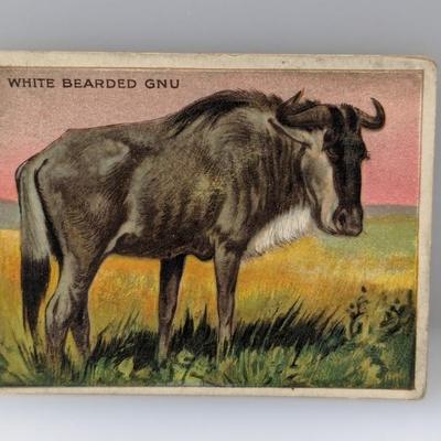 Sale Photo Thumbnail #449